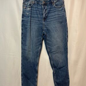 American Eagle Strigid Mom Jean